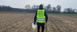  Inspektor WIORiN na polu pobierający próby gleby do badań laboratoryjnych