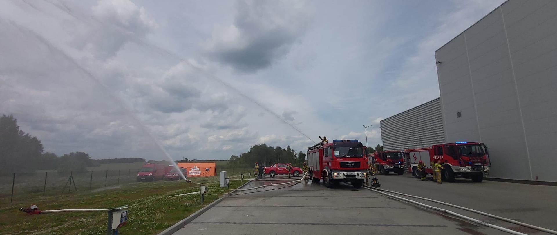 Na zdjęciu strażacy podają wodę na zagrożony pożarem las z użyciem działek wodnych