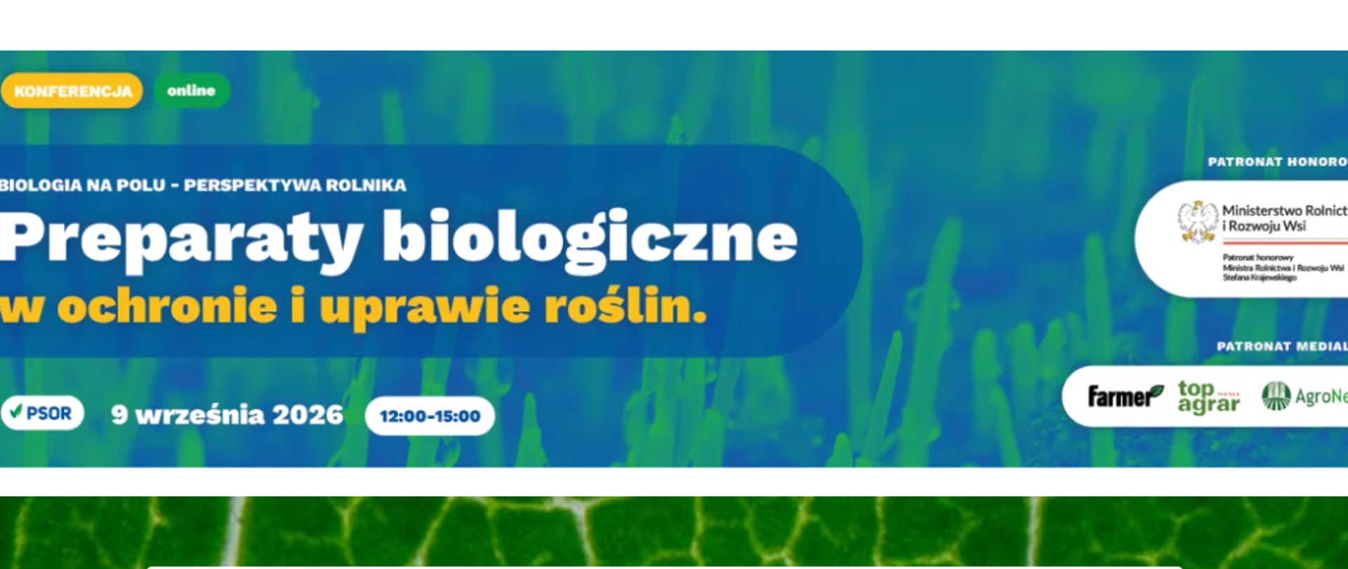 infografika zaproszenie na konferencję