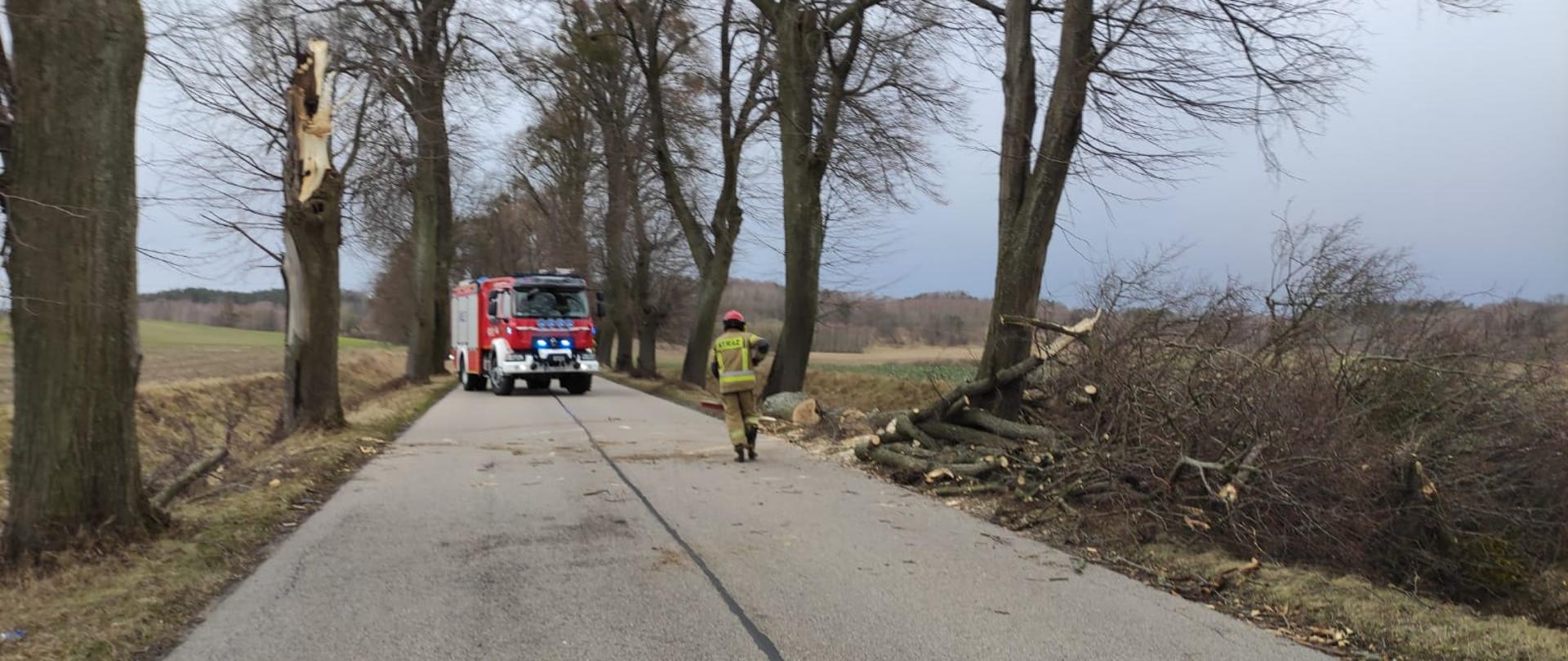 Strażacy udrażniający szlak komunikacyjny 