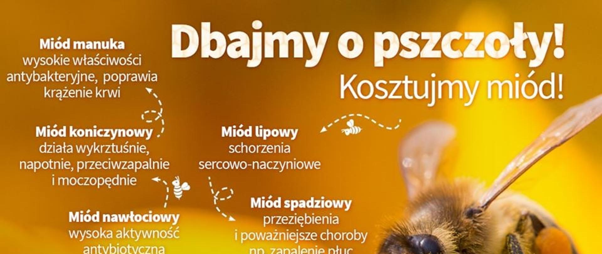 Dbajmy o pszczoły!
