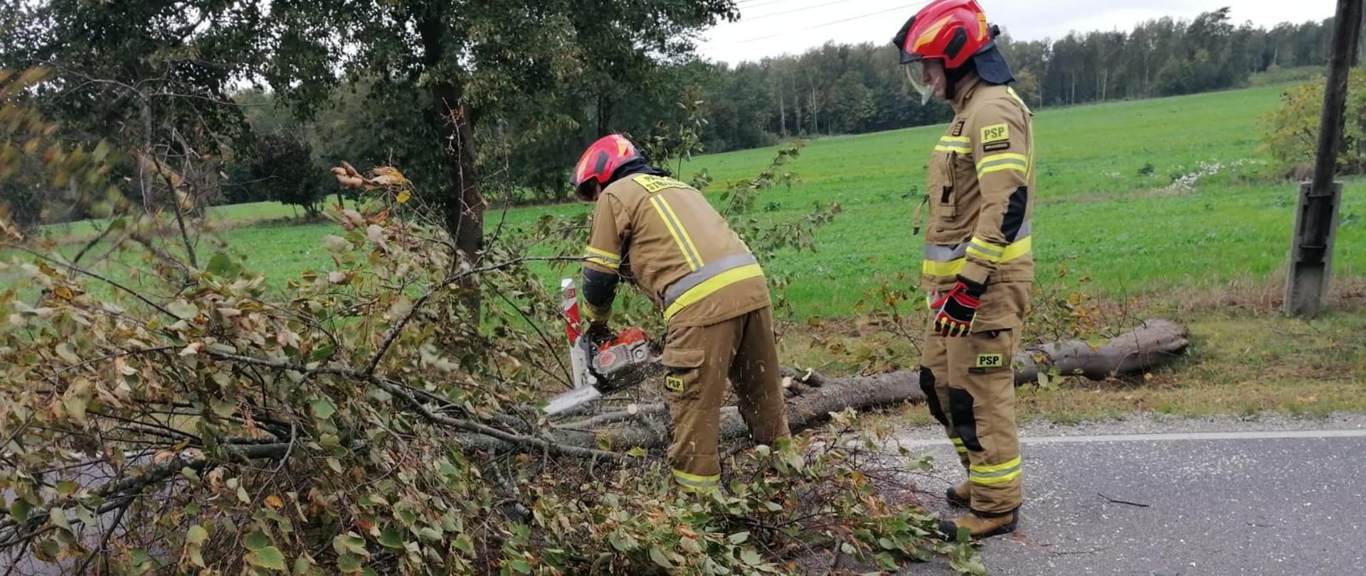 na drodze leży złamany konar drzewa. Dwóch strażaków tnie drzewo na kawałki.