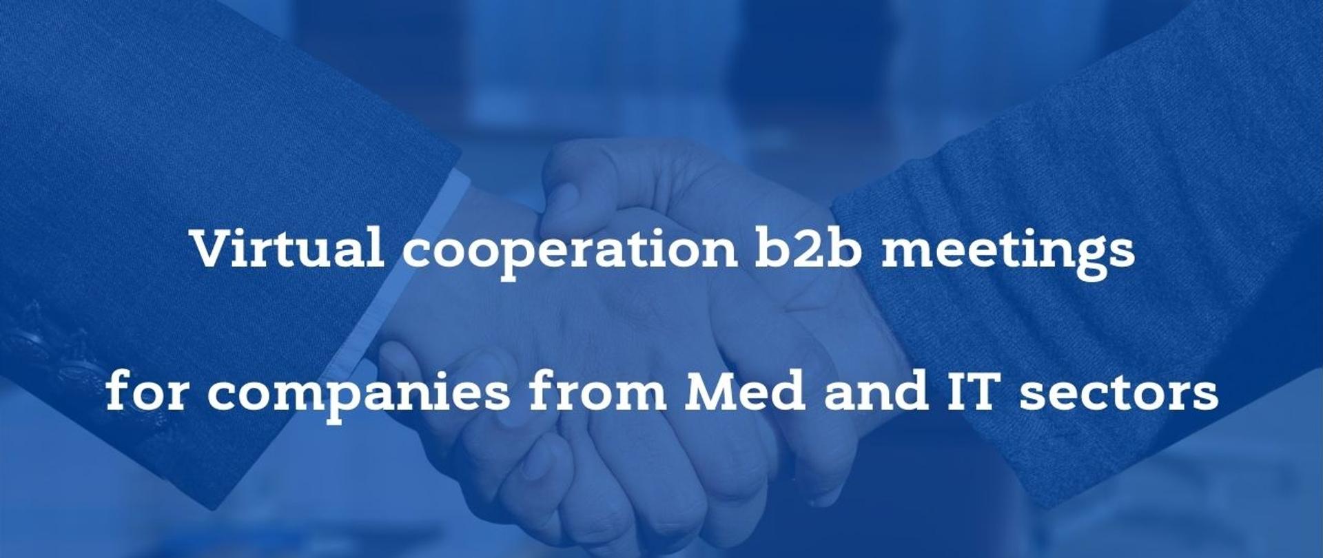 Virtual cooperation b2b meetings
