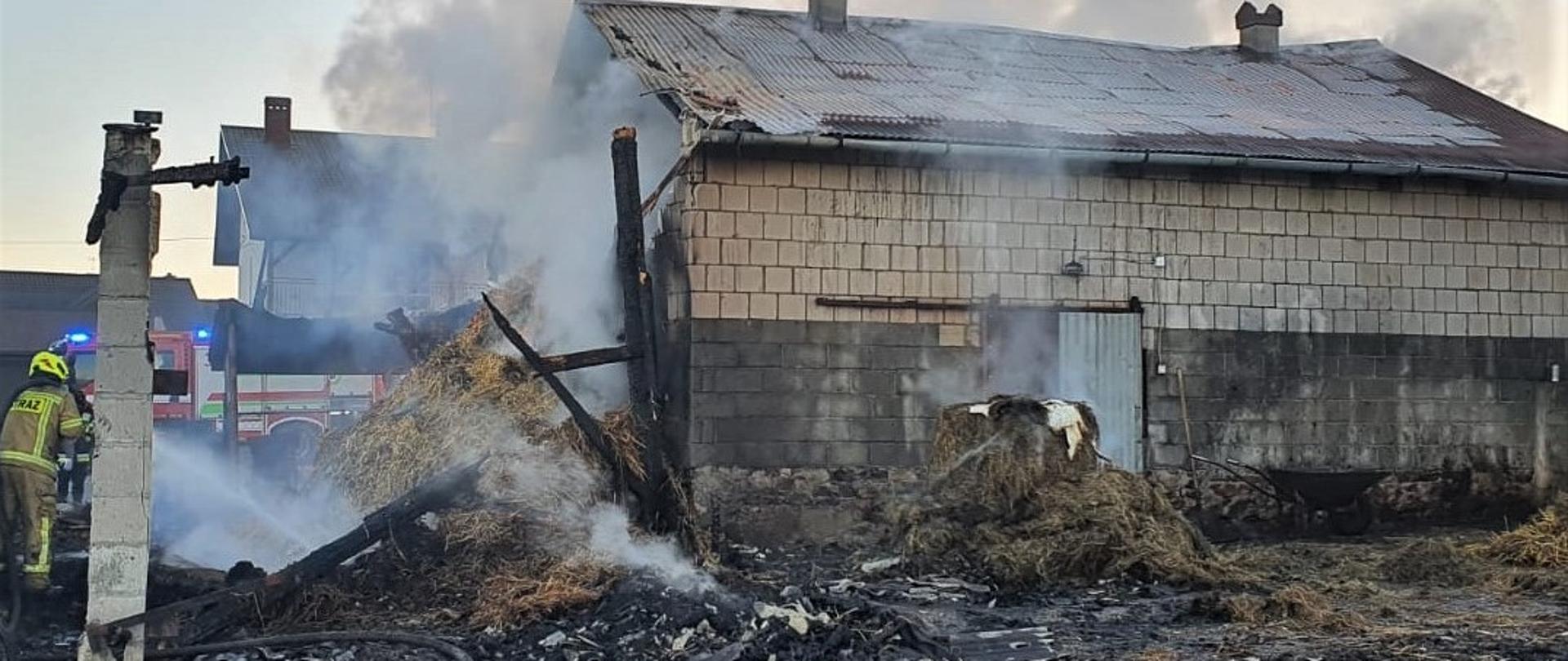 Zdjęcie przedstawia miejsce pożaru. Po prawej stronie obora ze zniszczonym dachem. Z lewej fragmenty spalonej stodoły. Obok ratownik przeszukujący pogorzelisko w celu dogaszenia zarzewi ognia.