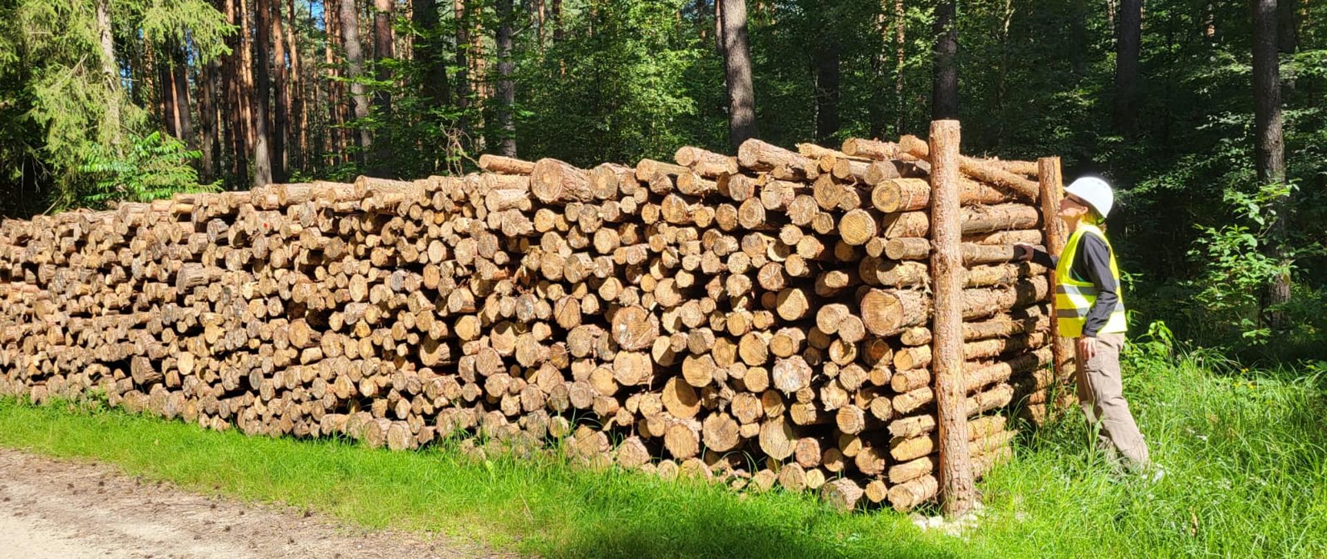 Zdjęcie przedstawia inspektora w trakcie czynności kontrolnych