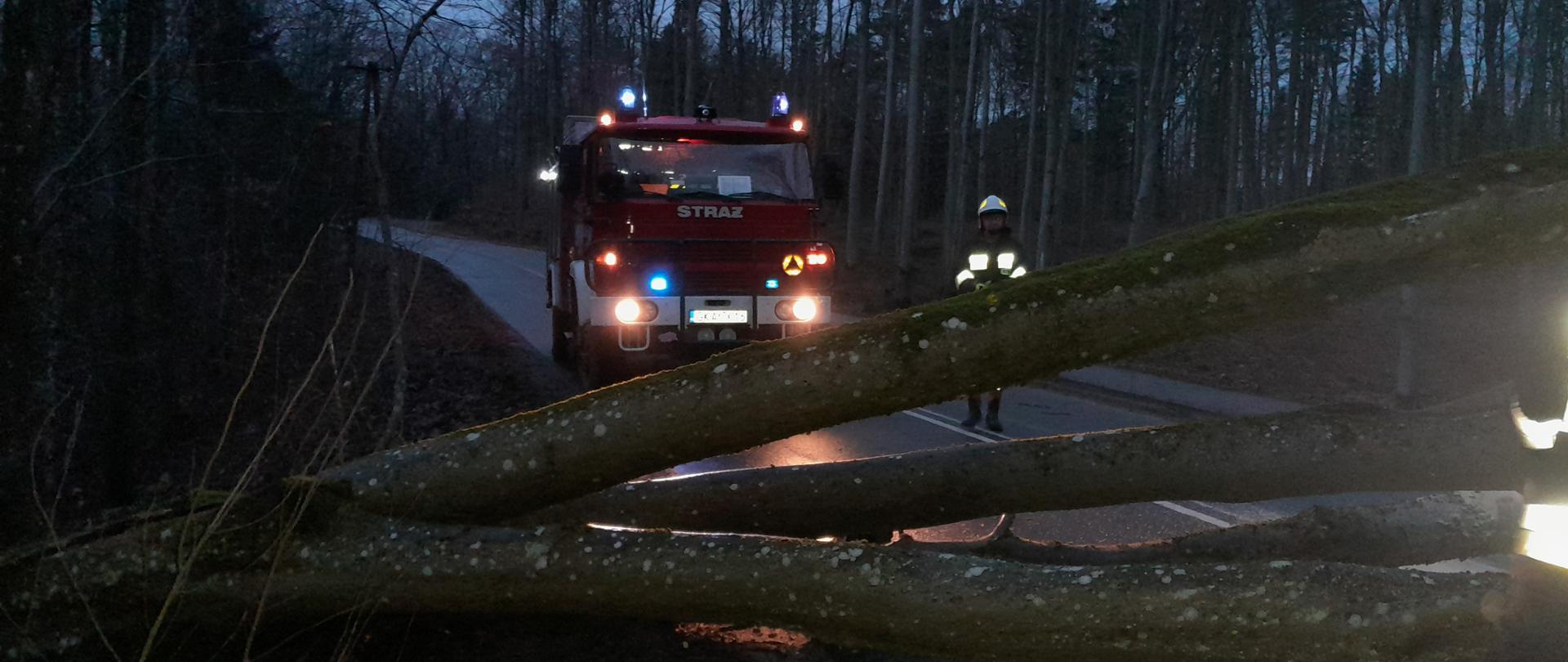 Przewrócone drzewo na drodze. W tle samochód strażacki i strażak.