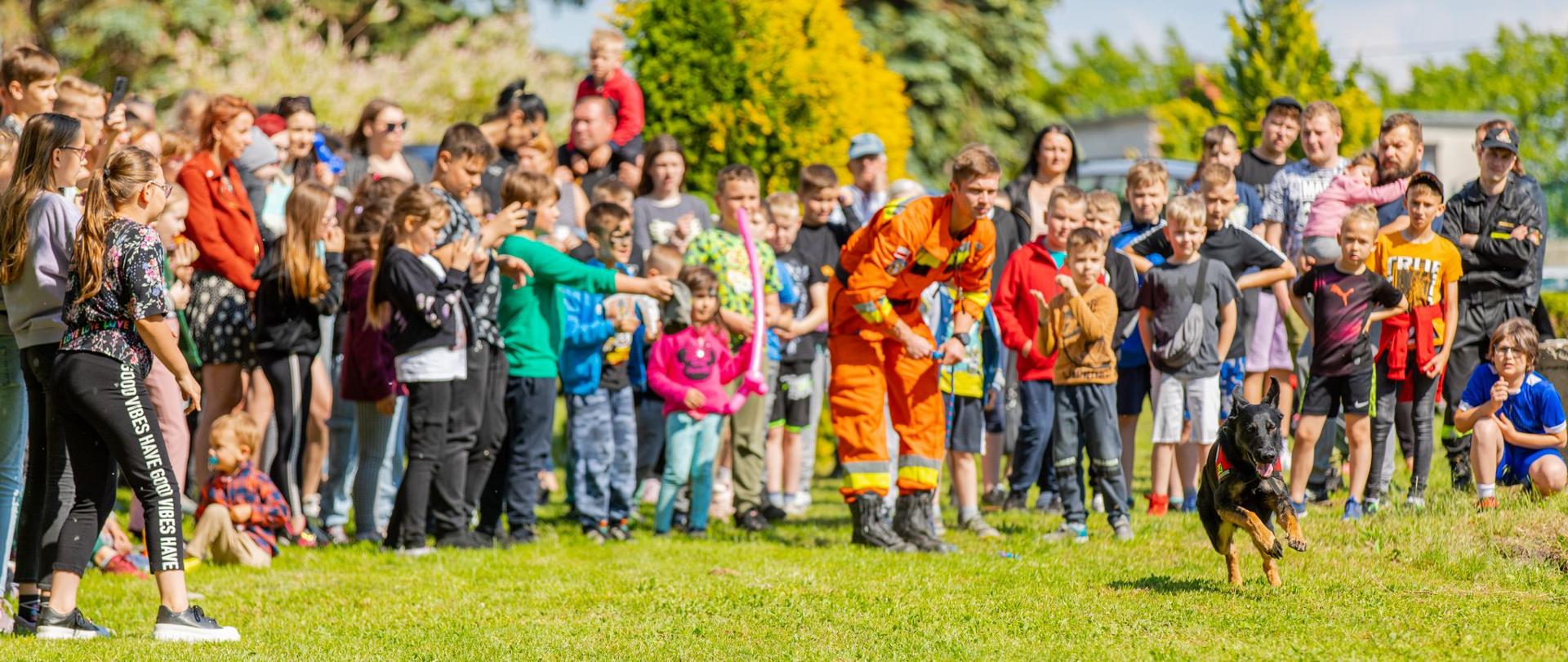 Strażak prezentuje umiejętności psa ratowniczego
