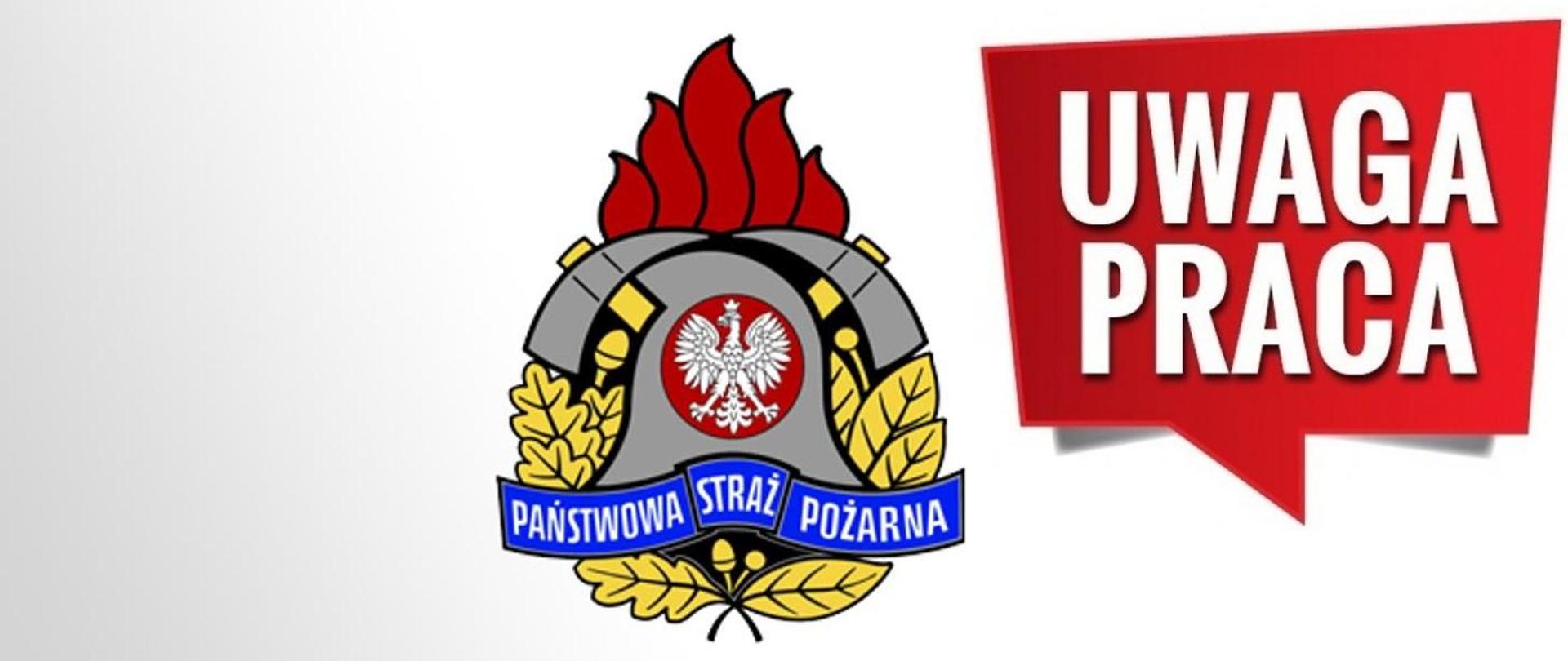 Logo przyjęcia do pracy w PSP 