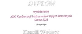 Dyplom wyróżnienie otrzymuje Kamil Wolner.