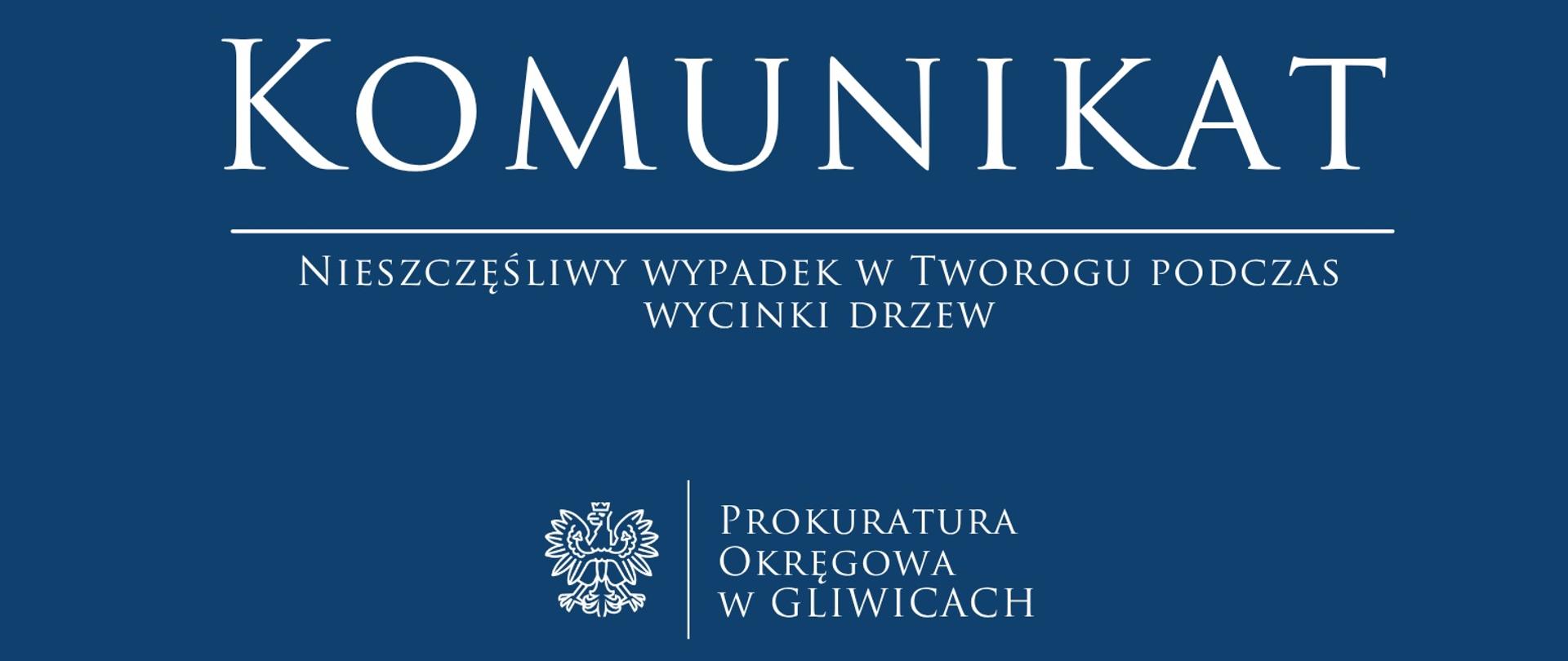 Nieszczęśliwy wypadek w Tworogu podczas wycinki drzew