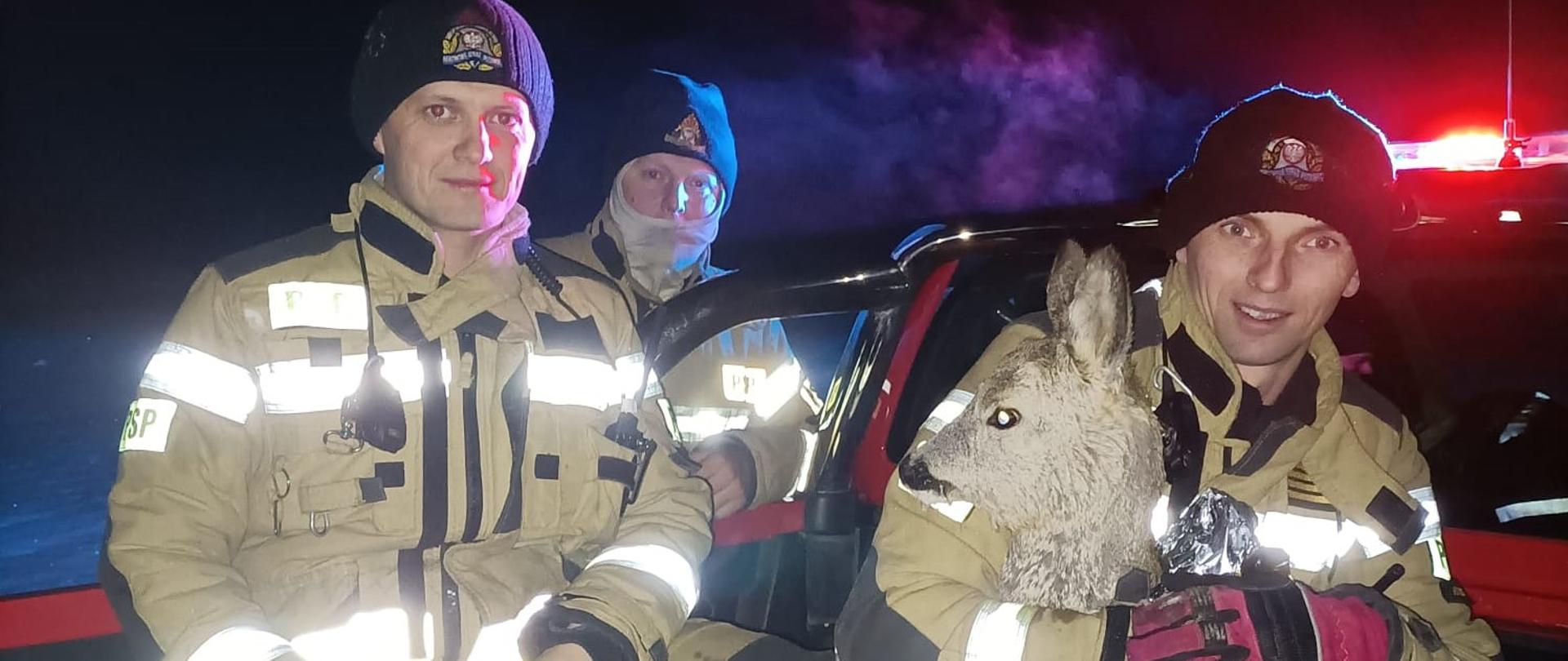 Strażacy z sarną wyciągniętą z wody