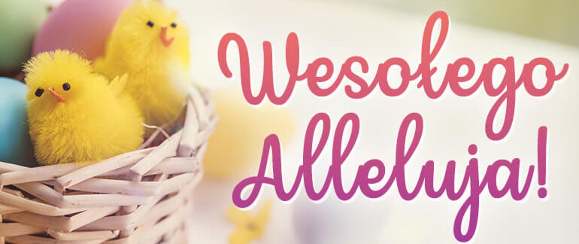 Wiklinowy koszyczek z trzema pisankami (zieloną, niebieską i różową) oraz dwoma żółtymi sztucznymi kurczaczkami. Z boku różowy napis "Wesołego Alleluja!"