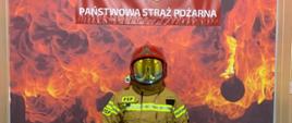 Na zdjęciu widnieje strażak Państwowej Straży Pożarnej. 