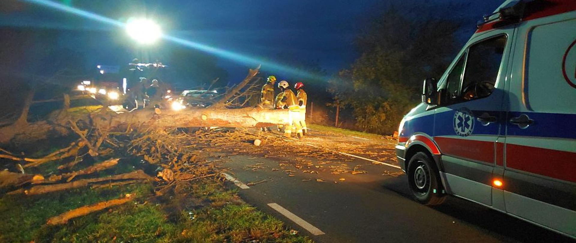 Na zdjęciu znajdują się strażacy którzy usuwają powalone na samochód drzewo.
