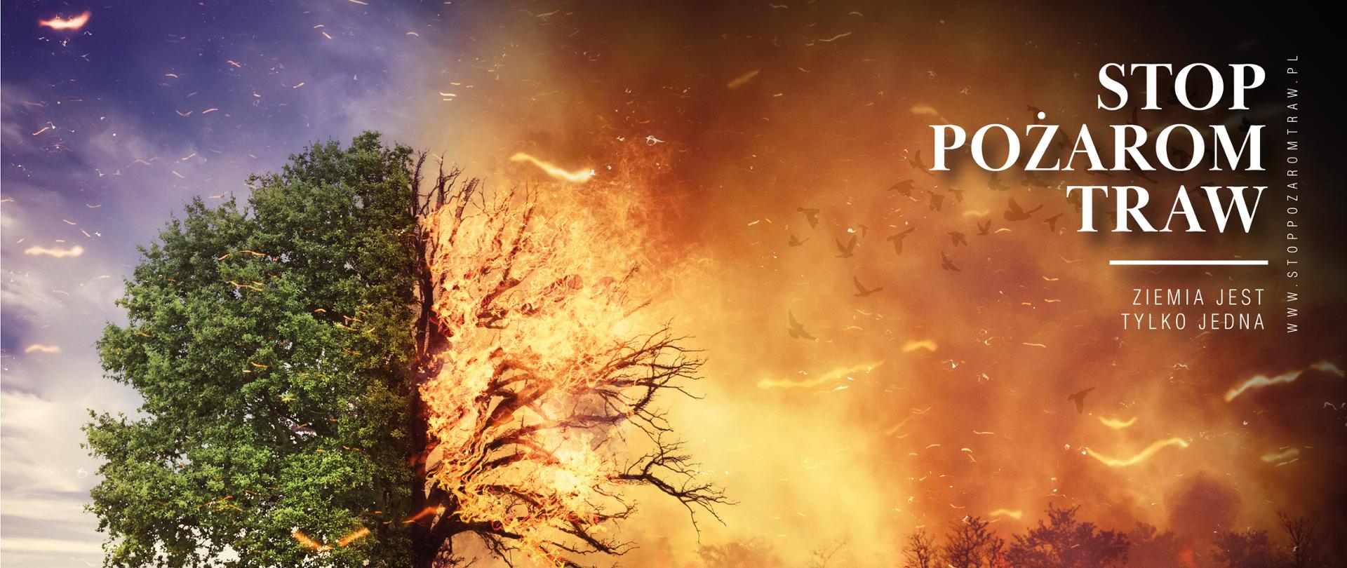 STOP POŻAROM TRAW