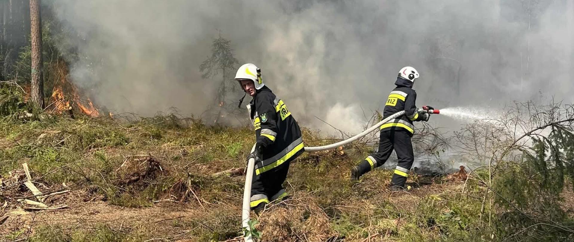 Strażacy OSP podczas działań przy pożarze lasu