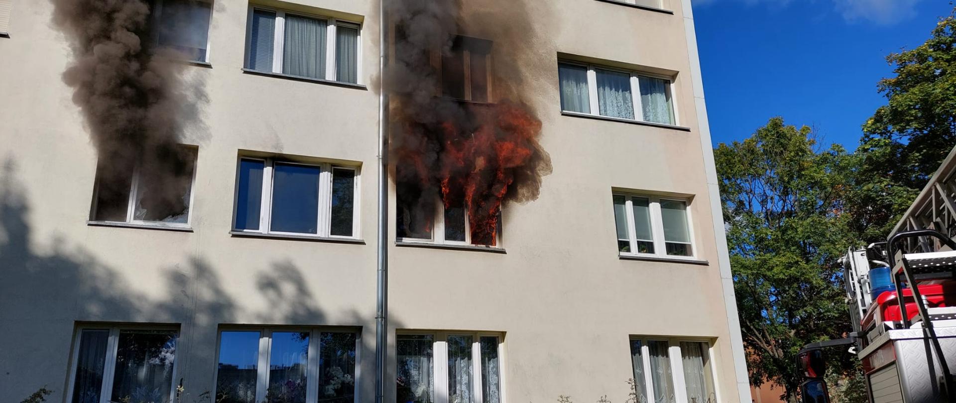 Pożar mieszkania w bloku