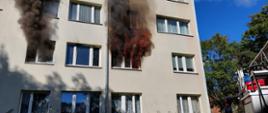 Pożar mieszkania w bloku