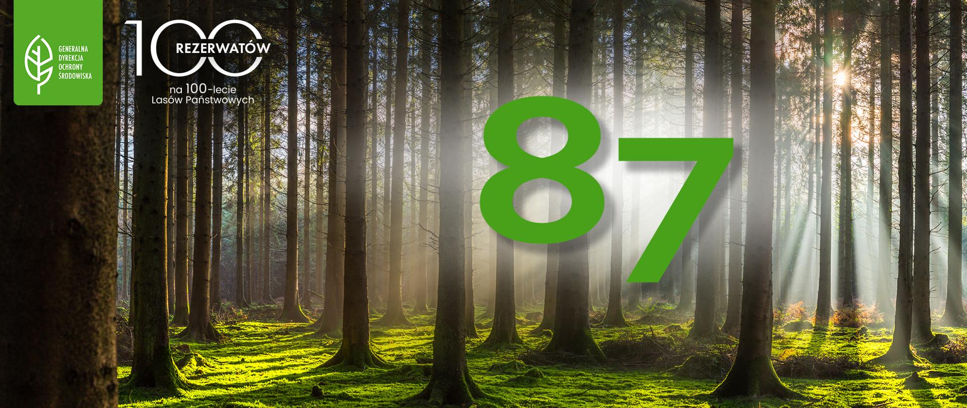 Już 87 nowych rezerwatów przyrody powstało w ramach inicjatywy „100 rezerwatów na 100-lecie Lasów Państwowych”. Środek lasu i w centralnym punkcie liczba 87.
