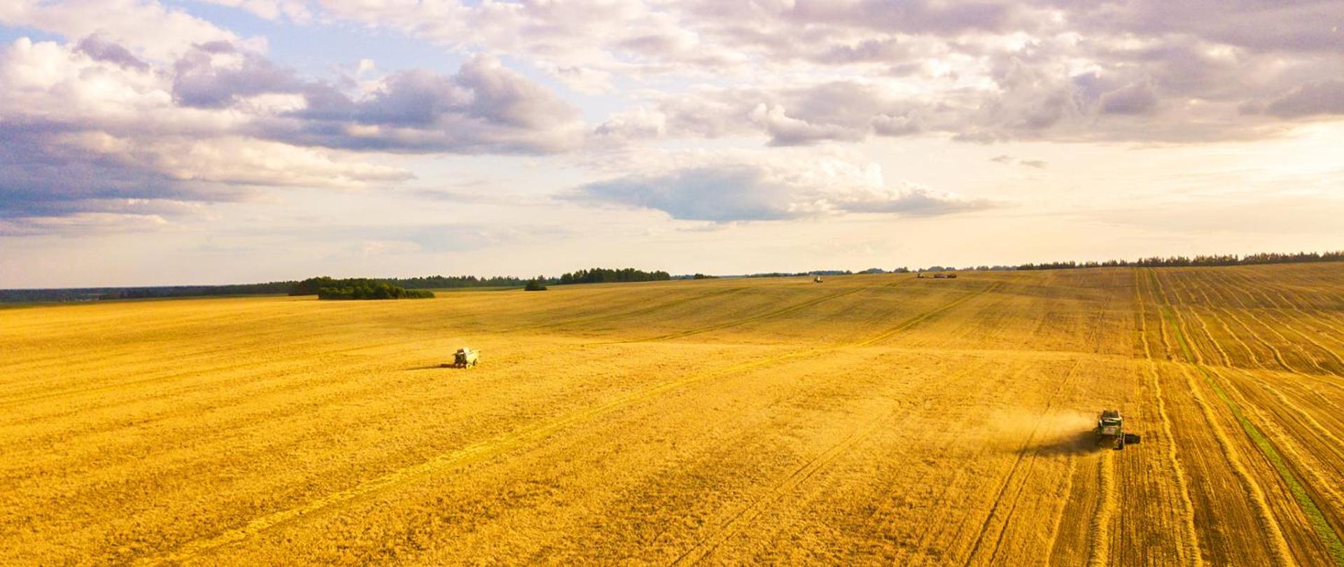 Maszyny pracujące na polu