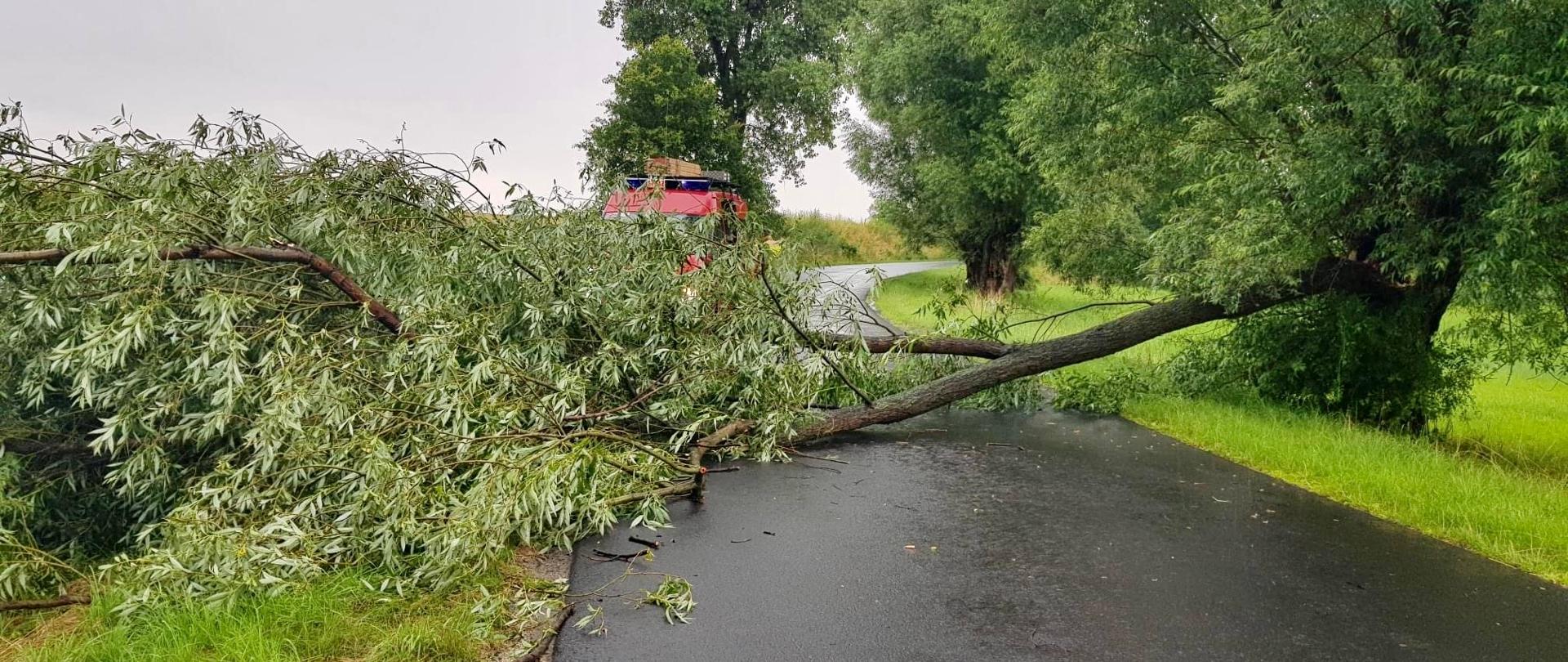 powalone drzewo na jezdni, w tle pojazd straży pożarnej