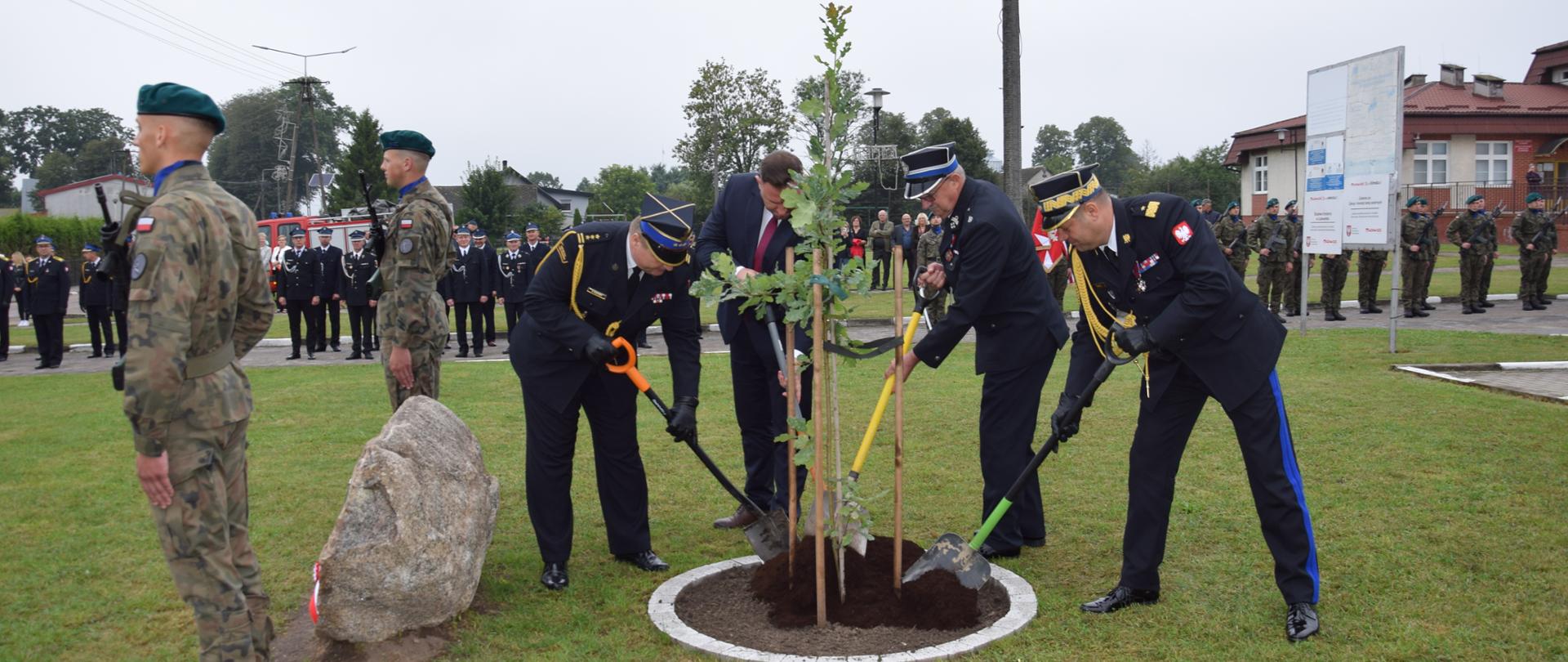 Na zdjęciu widzimy oficjalną uroczystość sadzenia drzewa upamiętniającego. W centrum kadru kilku mężczyzn w galowych mundurach strażackich oraz jeden w garniturze wspólnie zakopuje młode drzewko, używając łopat. 
