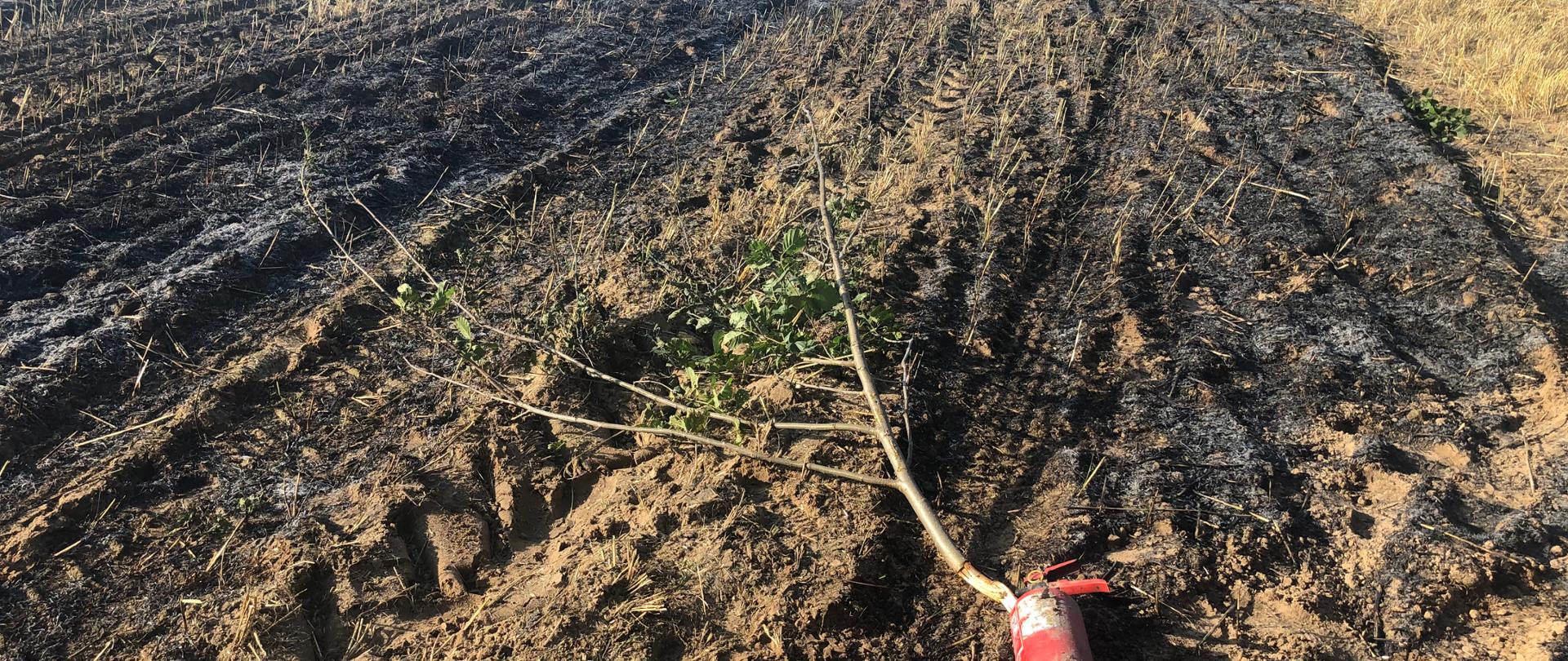 Spalone pole i słoma. Zdjęcie w ciągu dnia. Widać lekkie zachmurzenie.