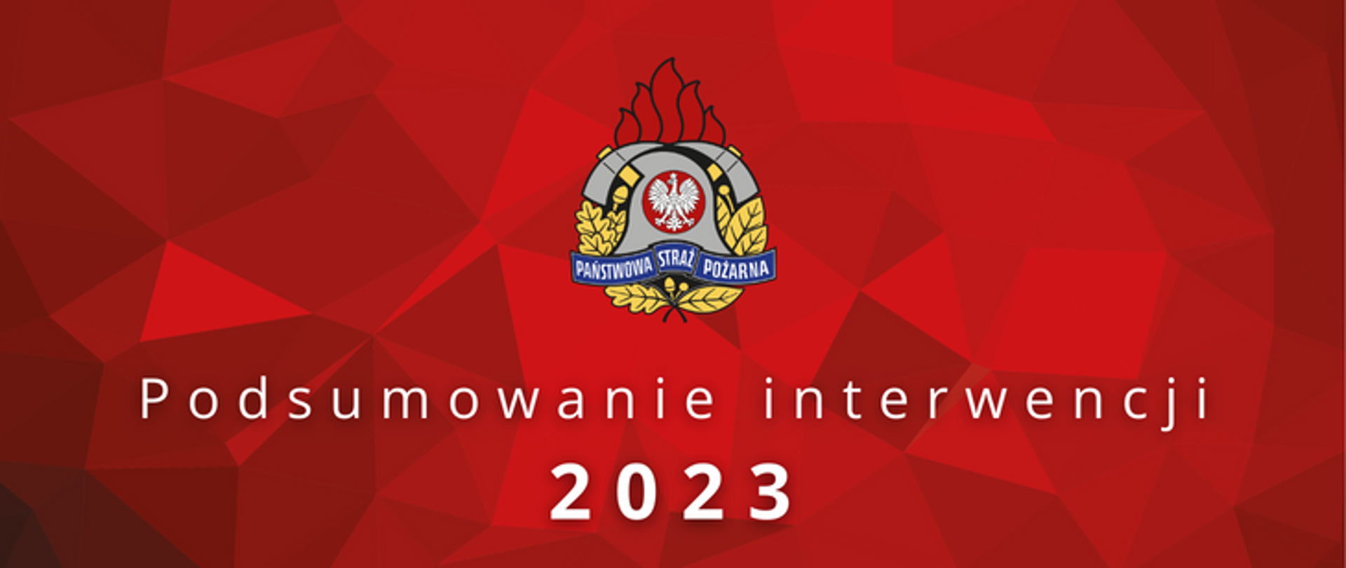 Podsumowanie interwencji 2023