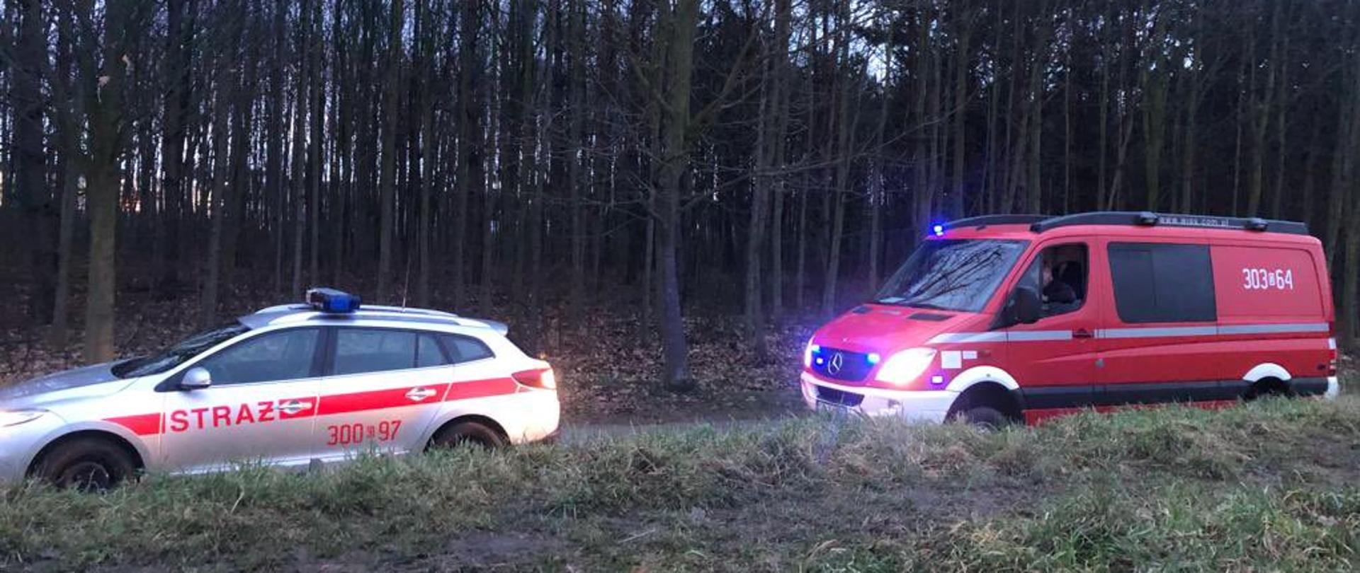 Działania strażaków na ślęzy