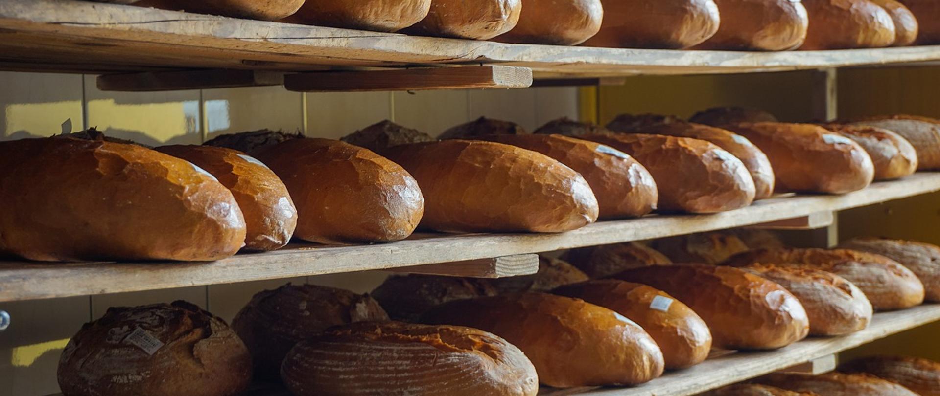 Pieczywo (chleb) poukładany na półkach w piekarni.
