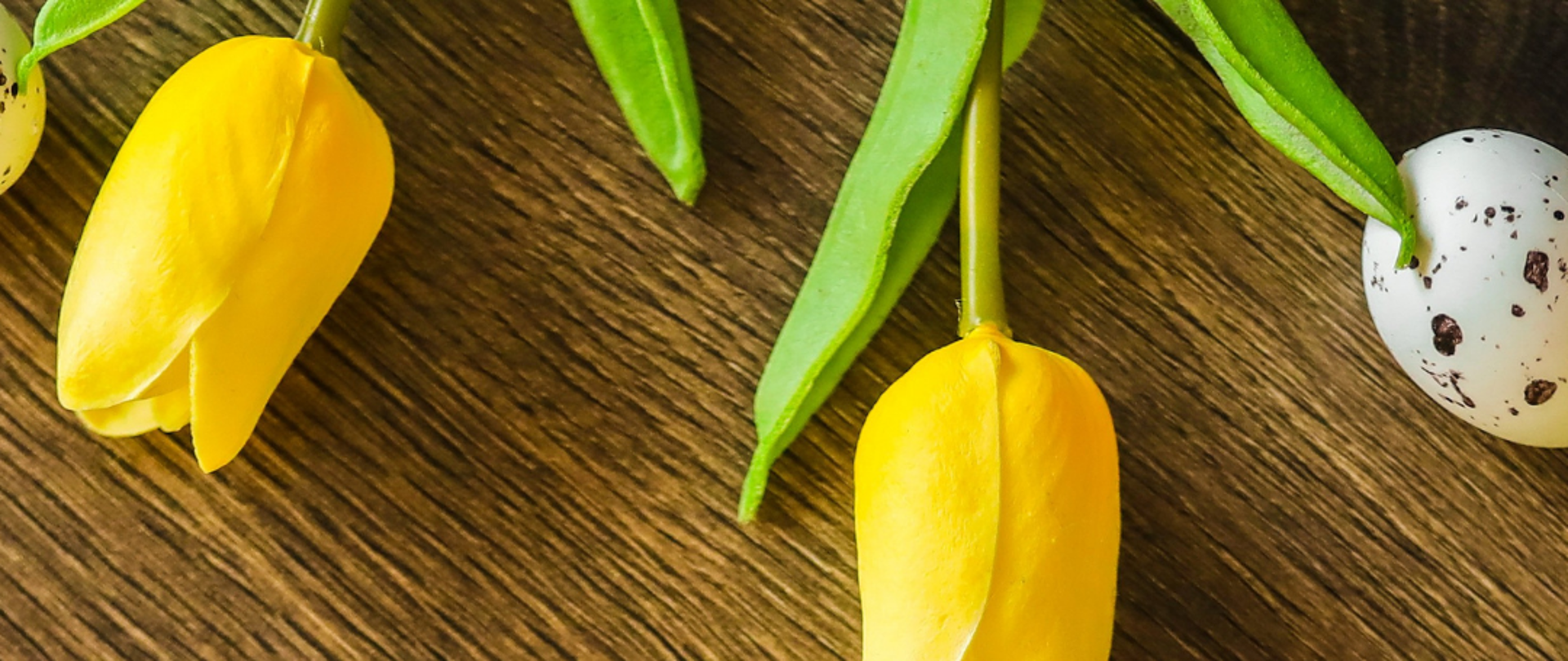 Kartka Świąteczna, w górnej części i dolnej żółte tulipany, tło brązowe, w części centralnej napis radosnej Wielkanocy Dyrekcja PSM