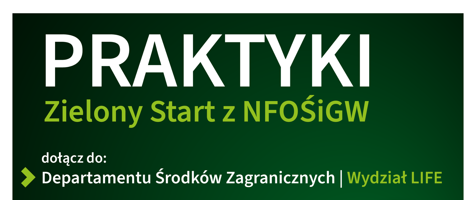 Grafika ilustracyjna. Praktyki w departamencie środków zagranicznych, wydział LIFE