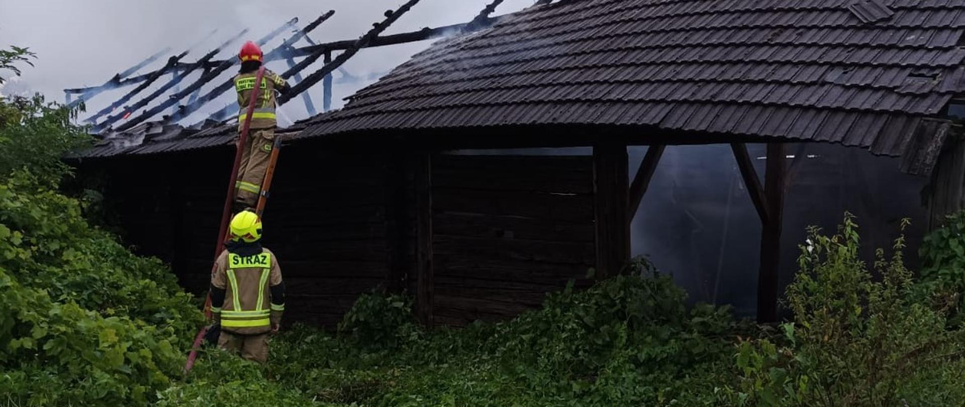 Na zdjęciu widocznych dwóch strażaków, gaszących z drabiny częściowo spalony budynek gospodarczy. 