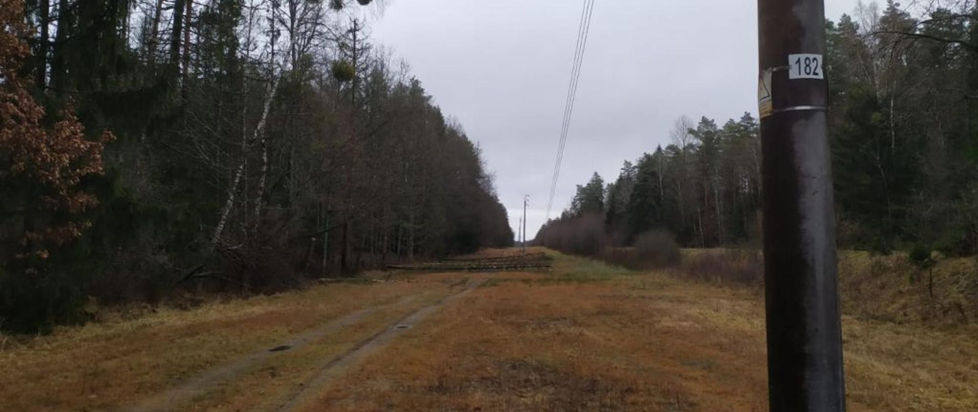 Po lewej i prawej stronie las. po środku żółta sucha trawa i biegnąca linia energetyczna. Trzy drzewa zerwały linię energetyczną ze słupa.