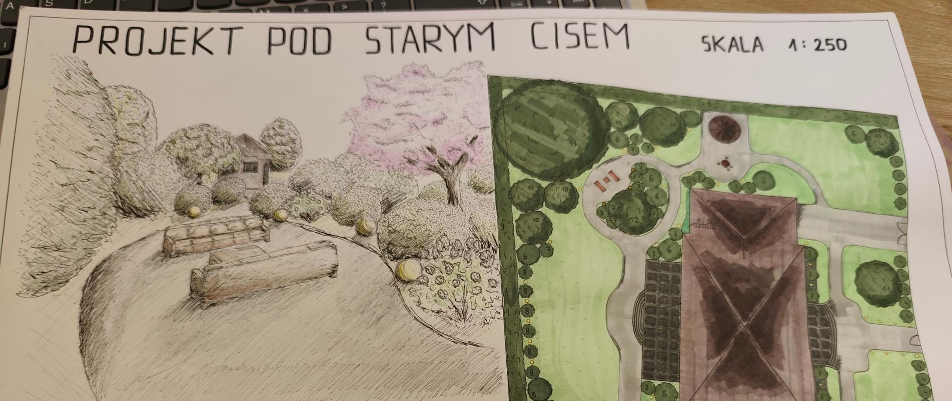  pod starym cisem