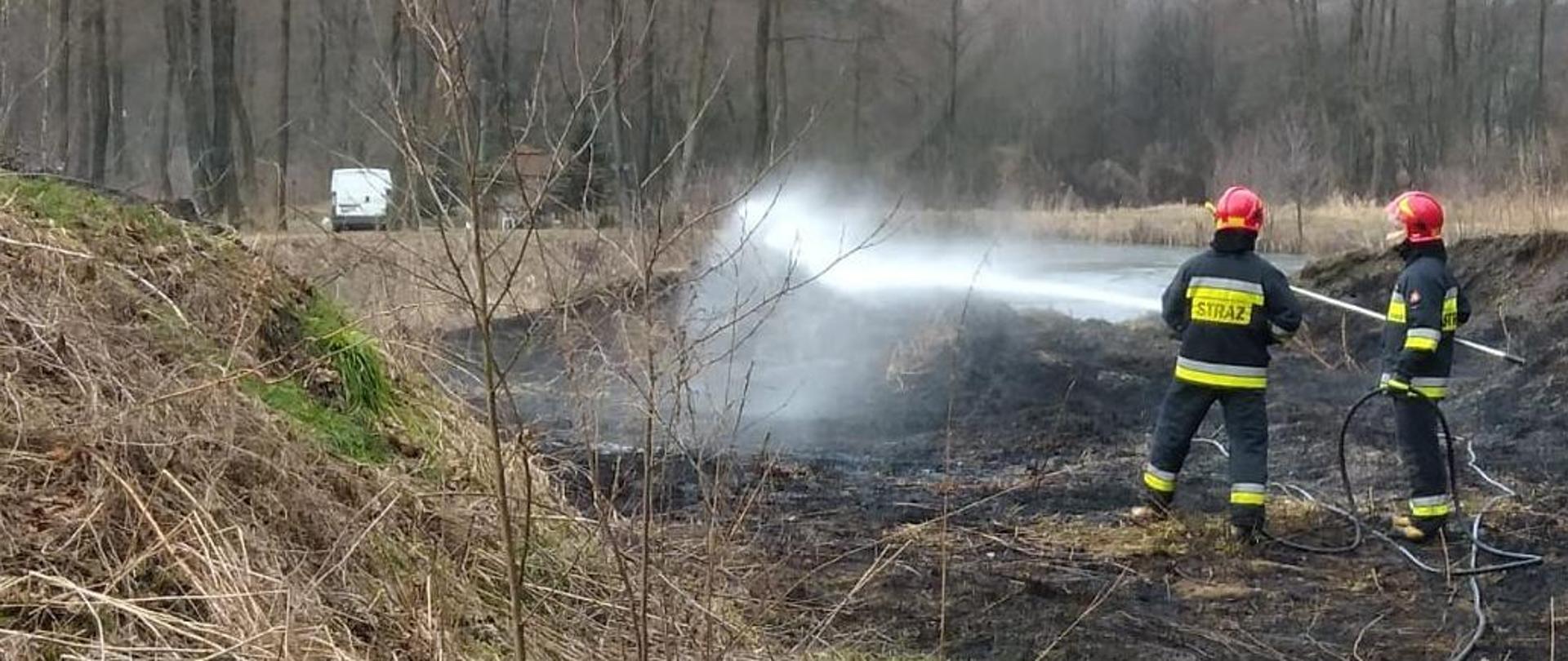 Zdjęcie przedstawia dwóch strażaków podczas gaszenia nieużytków, pozostałości roślinnych