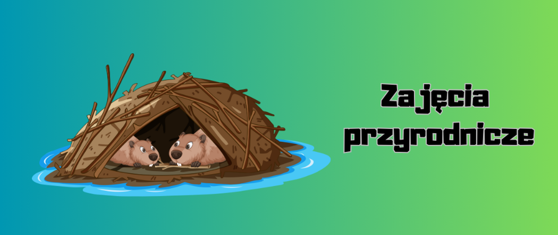 zajęcia przyrodnicze