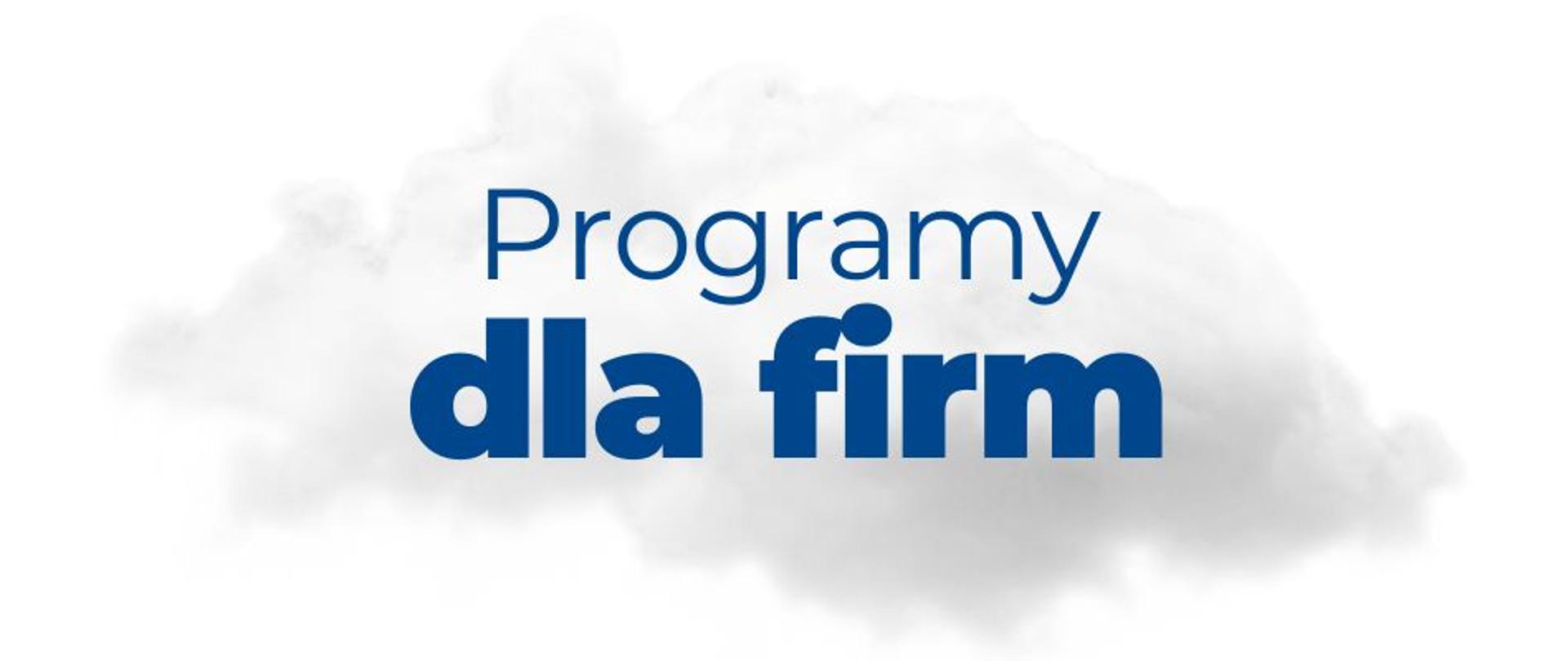 baner z hasłem programy dla firm