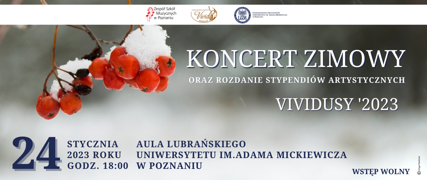 Koncert zimowy