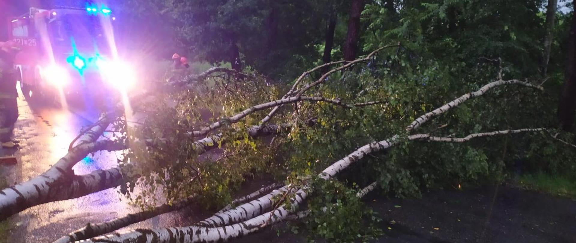 Usuwanie skutków frontu burzowego nad Opolszczyzną