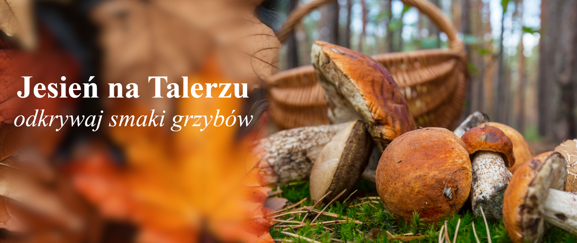 baner - jesień na talerzu - grzyby