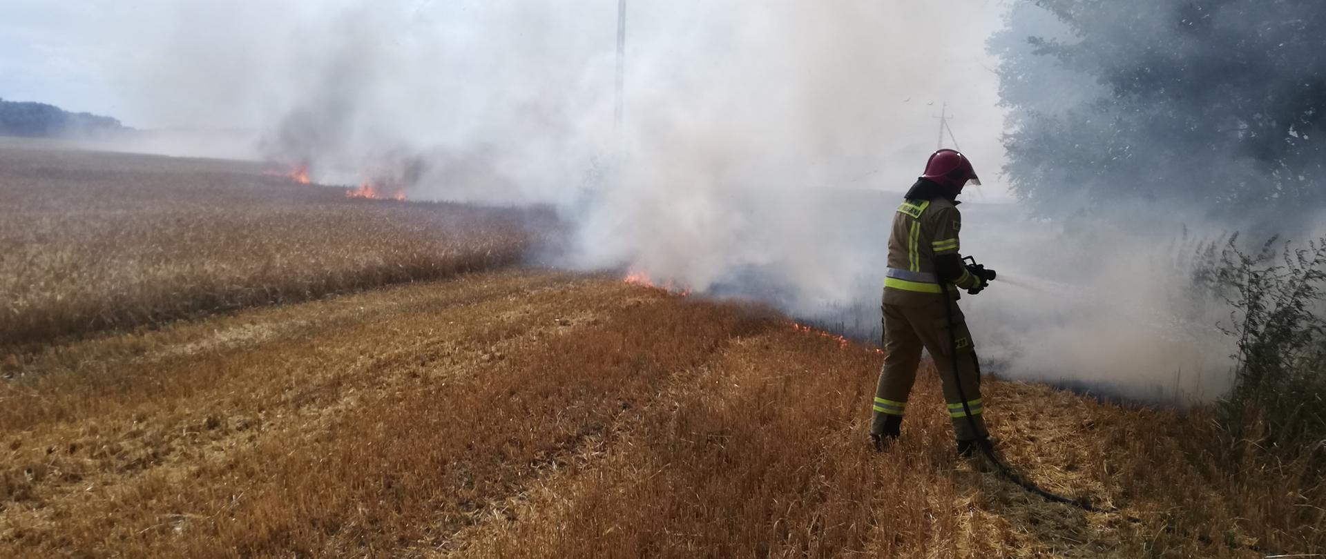 strażak gasi pożar zboża