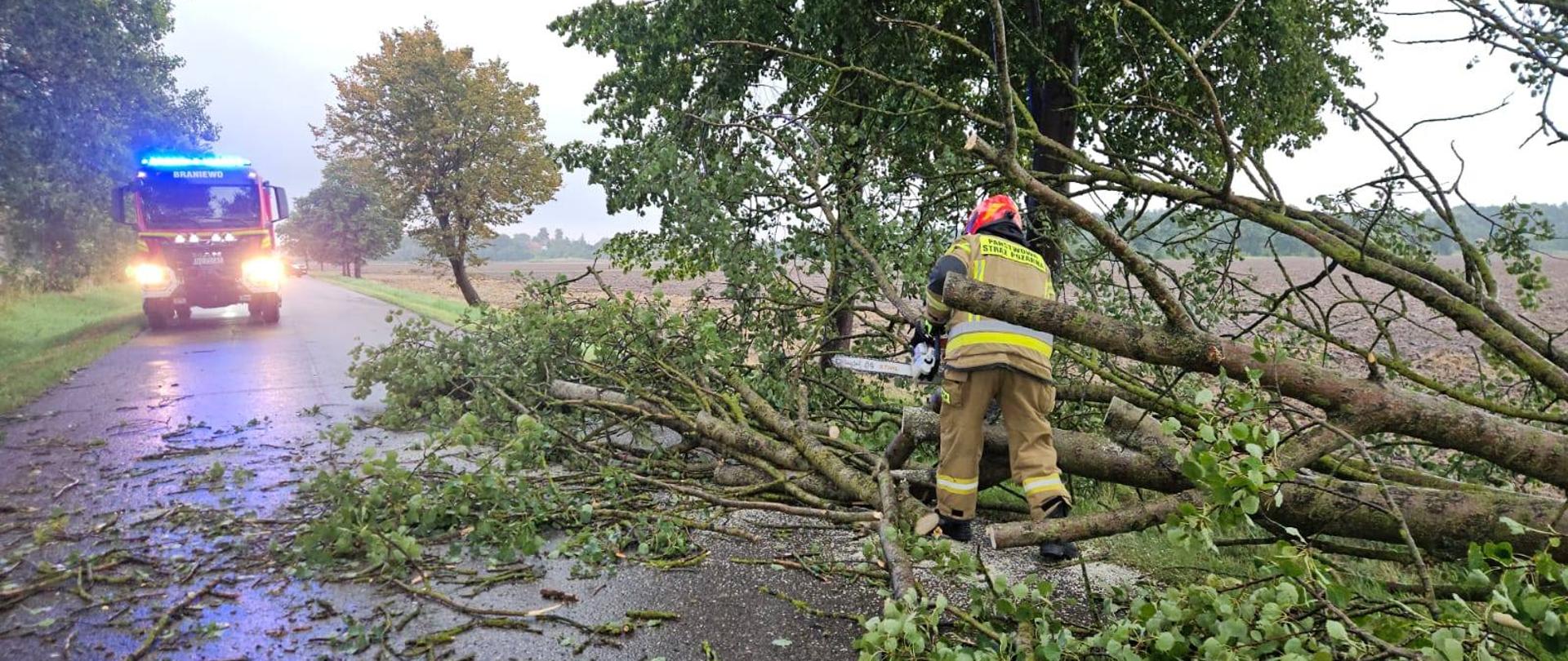 Duży konar drzewa leży w poprzek drogi. Z prawej strony strażak wycina konar pilarką spalinową.Z lewej strony widać samochód strażacki, stoi na drodze na światłach ostrzegawczych
