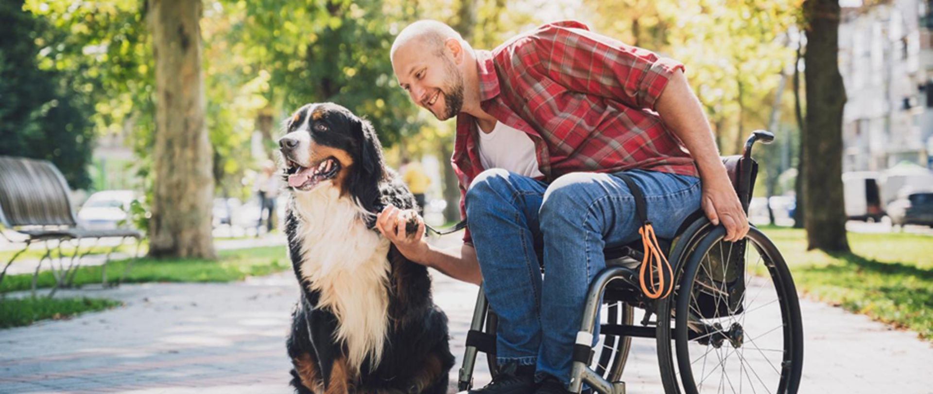 mężczyzna na wózku inwalidzkim z psem w parku