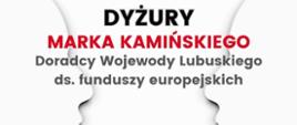 Grafika - dyżury Doradcy Wojewody Lubuskiego ds. funduszy europejskich