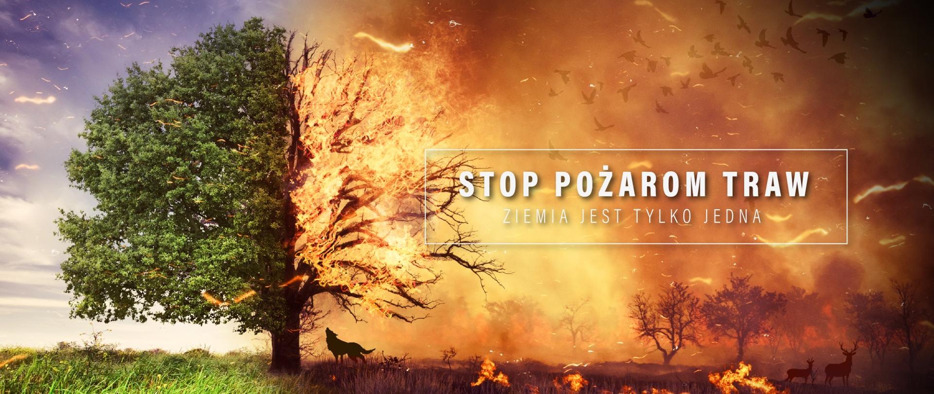 Stop pożarom traw