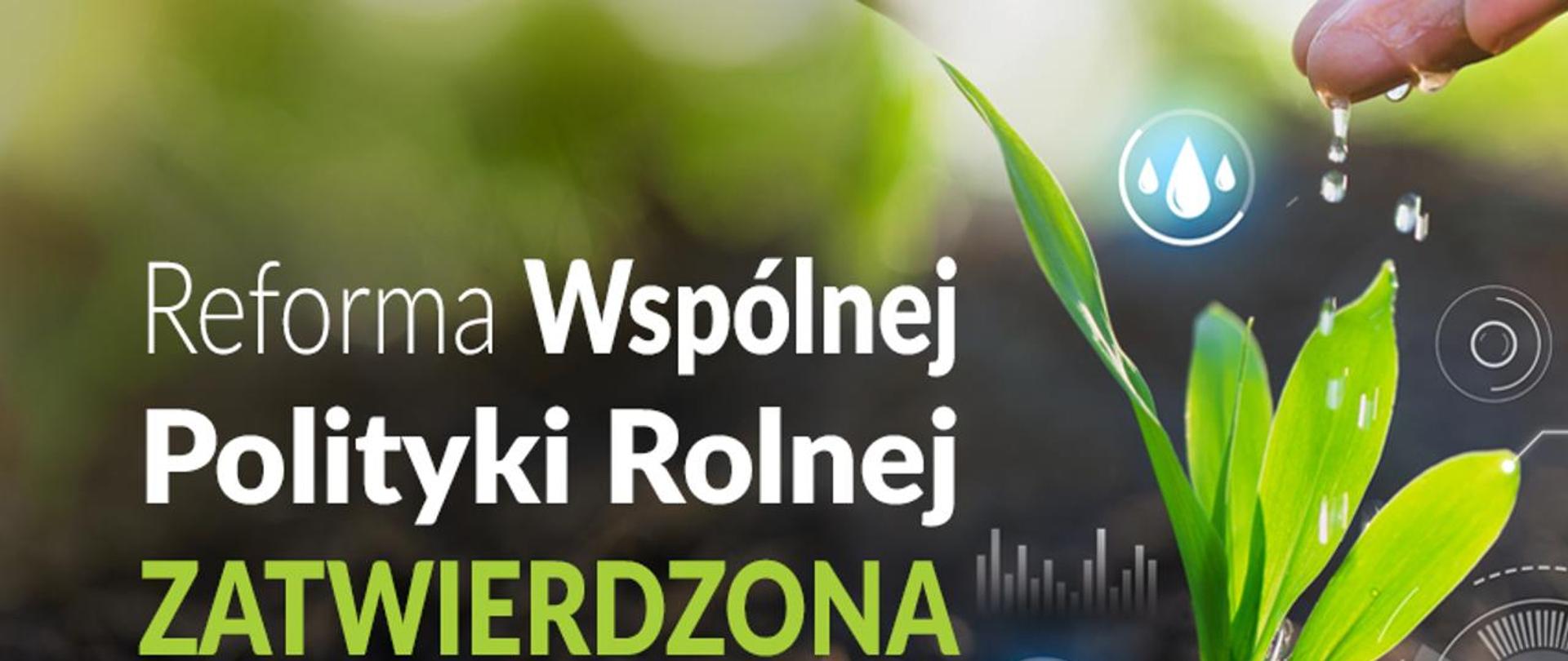 Spadające krople wody z dłoni na roślinę.