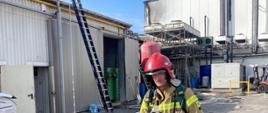 Zdjęcie przedstawia zmęczonego strażaka wyposażonego w sprzęt ochrony indywidualnej. Po lewej stronie można zauważyć halę zakładu oraz rozłożony sprzęt pożarniczy służący strażakom podczas działań ratowniczo gaśniczych . 