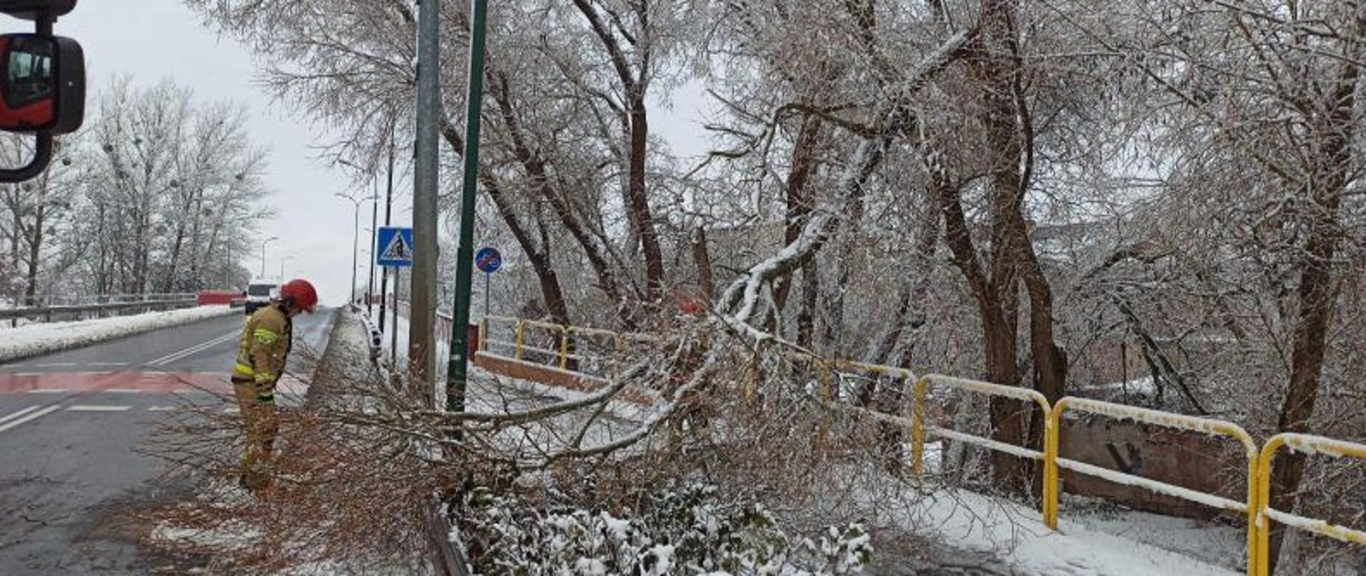 Zdjęcie wykonane w dzień. Centralny punkt zdjęcia stanowi strażak w piaskowym ubraniu. Strażak pochyla się nad leżącym, ułamanym, konarze drzewa na chodniku.
