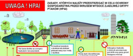Zasady, których należy przestrzegać w celu ochrony gospodarstwa przed wirusem wysoce zjadliwej grypy ptaków. Źródło: https://www.wetgiw.gov.pl/nadzor-weterynaryjny/zasady-ochrony-drobiu-przed-grypa-ptakow